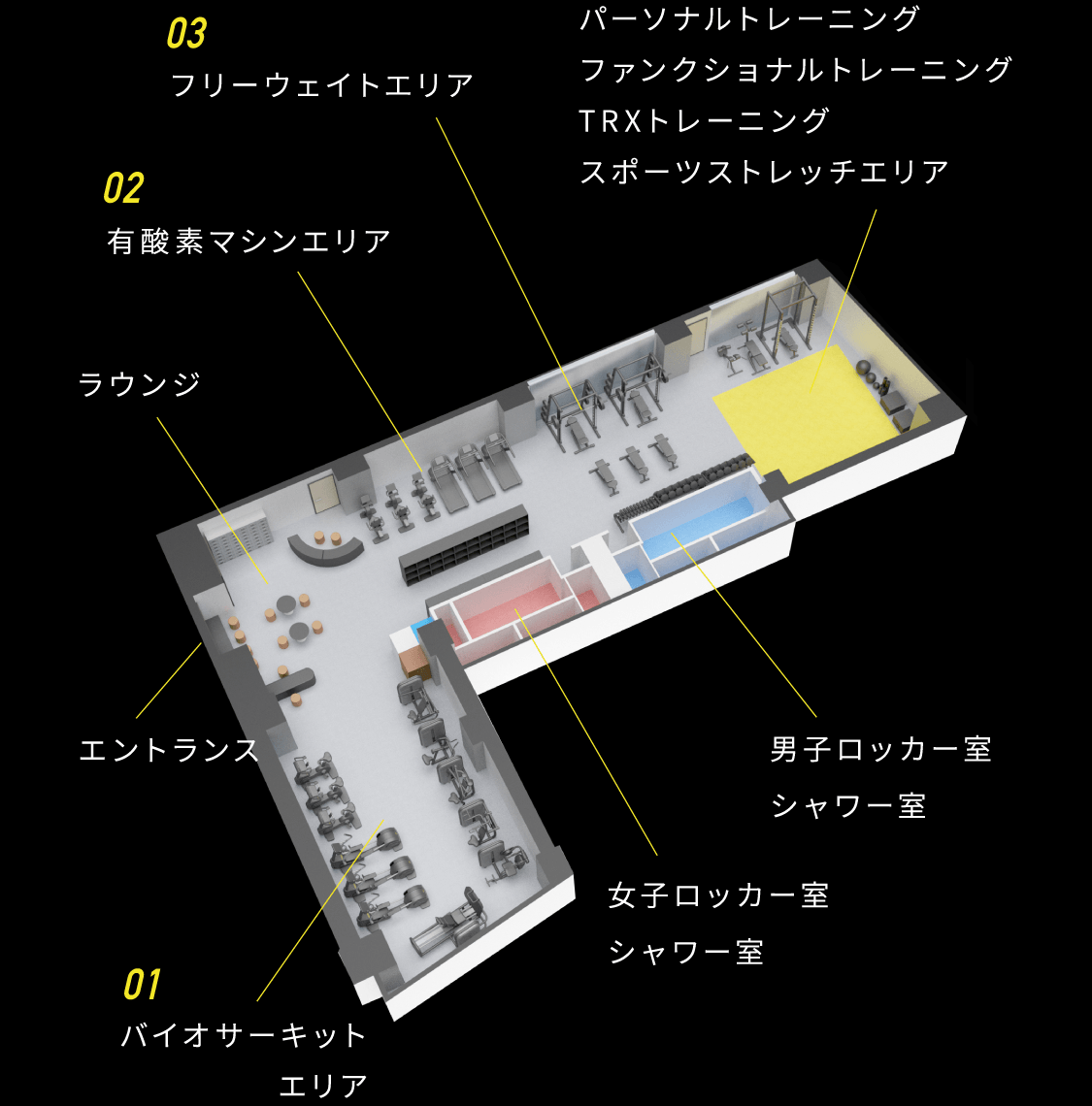 施設紹介 Cocofit24 東区葵のフィットネスジム